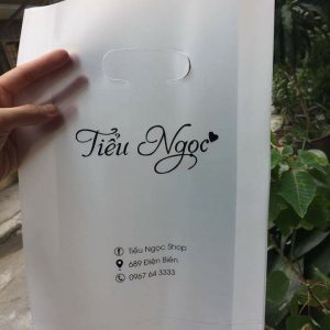 in túi nilon đựng mỹ phẩm