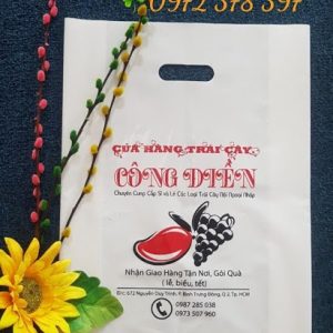in tui hot xoai gia re 1 1