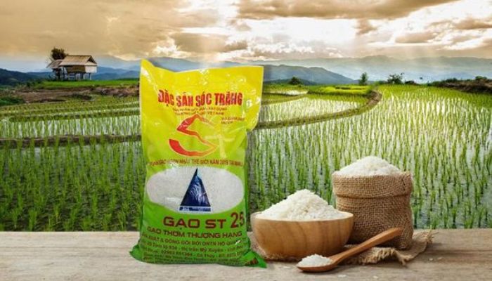In bao bì đựng gạo