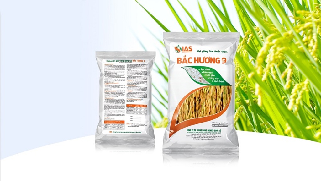 In bao bì lúa giống: Công nghệ in và quy trình sản xuất 8 Bao bì lúa giống đóng vai trò quan trọng trong ngành nông nghiệp, đặc biệt là trong việc bảo vệ độ tươi của mầm và chất lượng của hạt giống